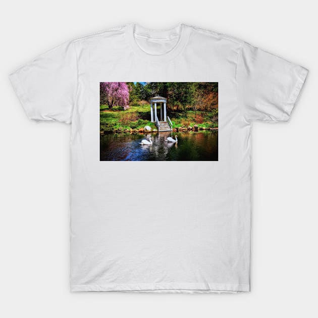 Swans On The Lake T-Shirt by JimDeFazioPhotography